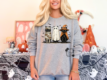 Load image into Gallery viewer, Cats in Costume
